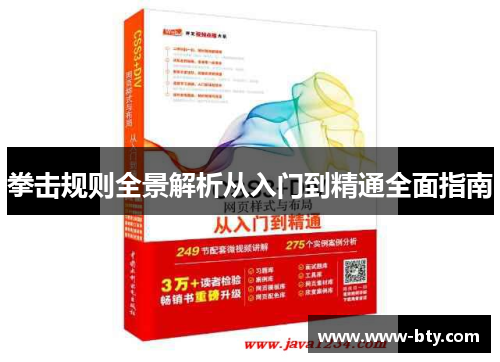 拳击规则全景解析从入门到精通全面指南