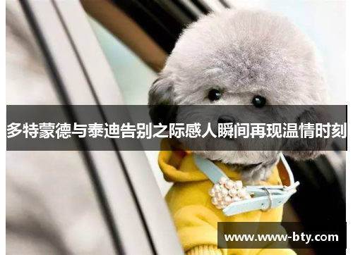 多特蒙德与泰迪告别之际感人瞬间再现温情时刻 多特蒙德与泰迪告别之际感人瞬间再现温情时刻