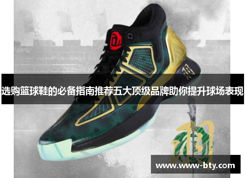 选购篮球鞋的必备指南推荐五大顶级品牌助你提升球场表现 选购篮球鞋的必备指南推荐五大顶级品牌助你提升球场表现