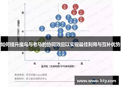 如何提升魔鸟与老马的协同效应以实现最佳利用与互补优势 如何提升魔鸟与老马的协同效应以实现最佳利用与互补优势